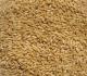 How To Clean Wheat Seeds